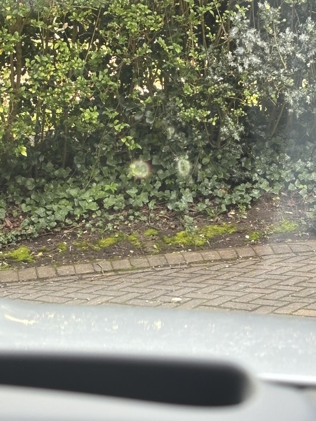 Jaguar E-PACE 2.0 P250 HSE SUV 5dr Petrol Auto AWD Euro 6 (s/s) (249 ps)